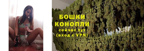 spice Арсеньев