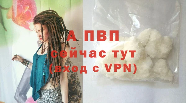 spice Арсеньев