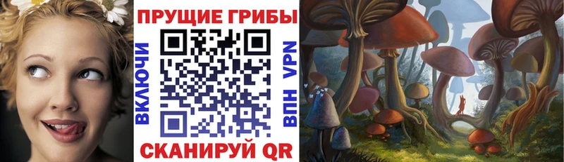 Галлюциногенные грибы GOLDEN TEACHER  Плавск 